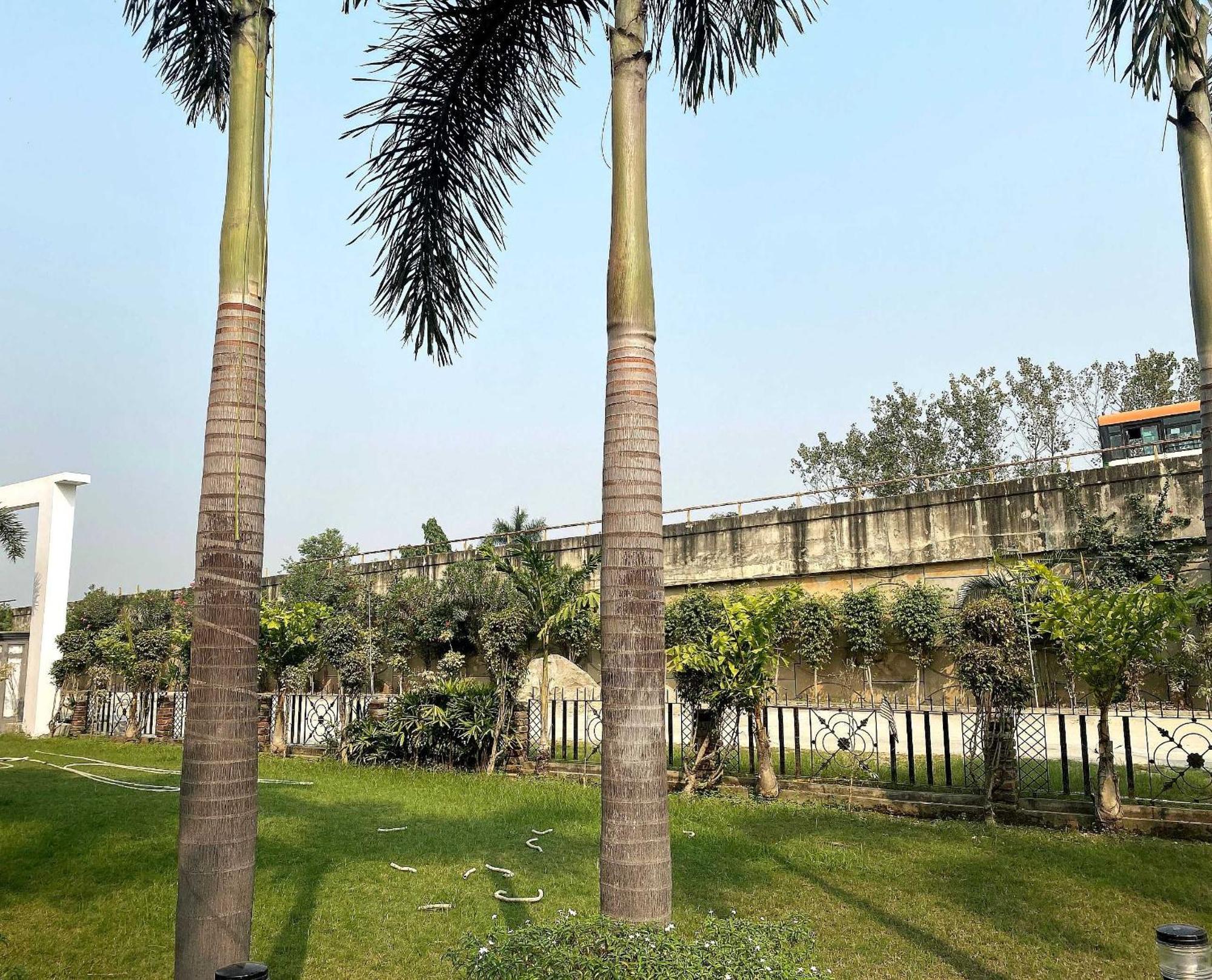 Hotel O The Resort Rampur  Exterior photo